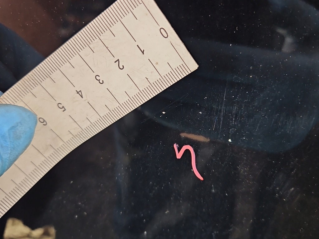 фото №8, Капот передня lancia thema ii 11-14 чорний px8