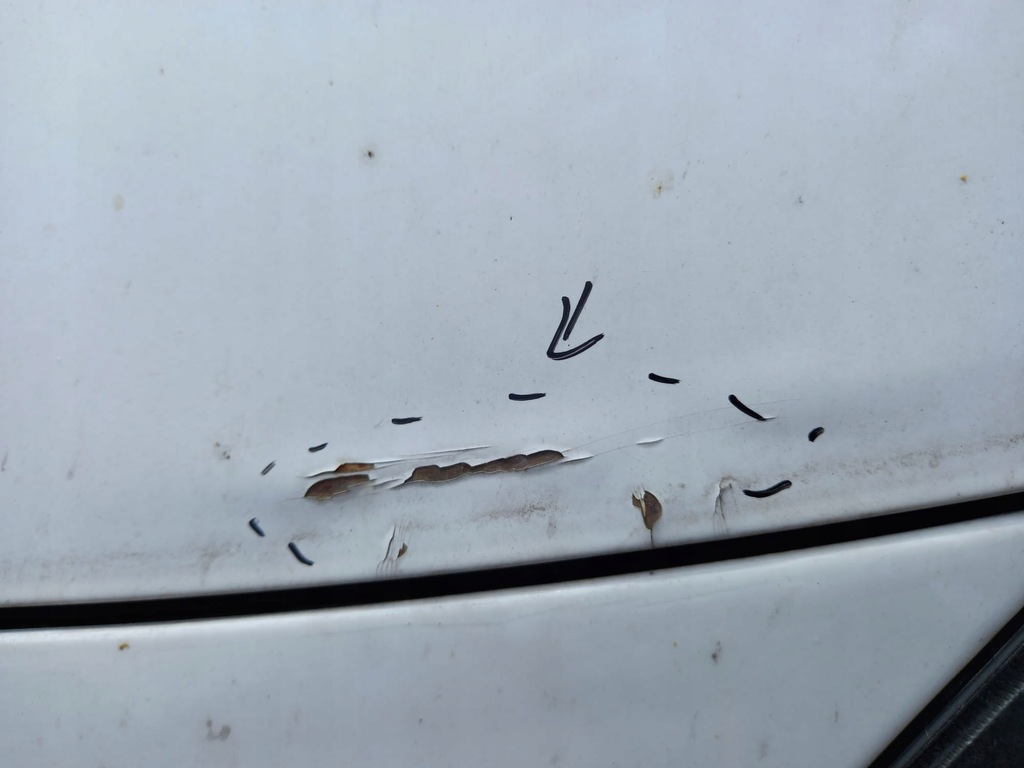 фото №3, Капот ranault twingo ii dv369 10r. 3d