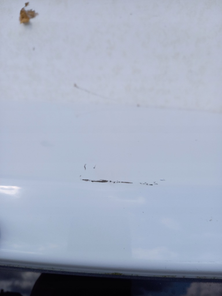 фото №9, Кришка багажника задня mitsubishi colt vi 6 lift 5 двері