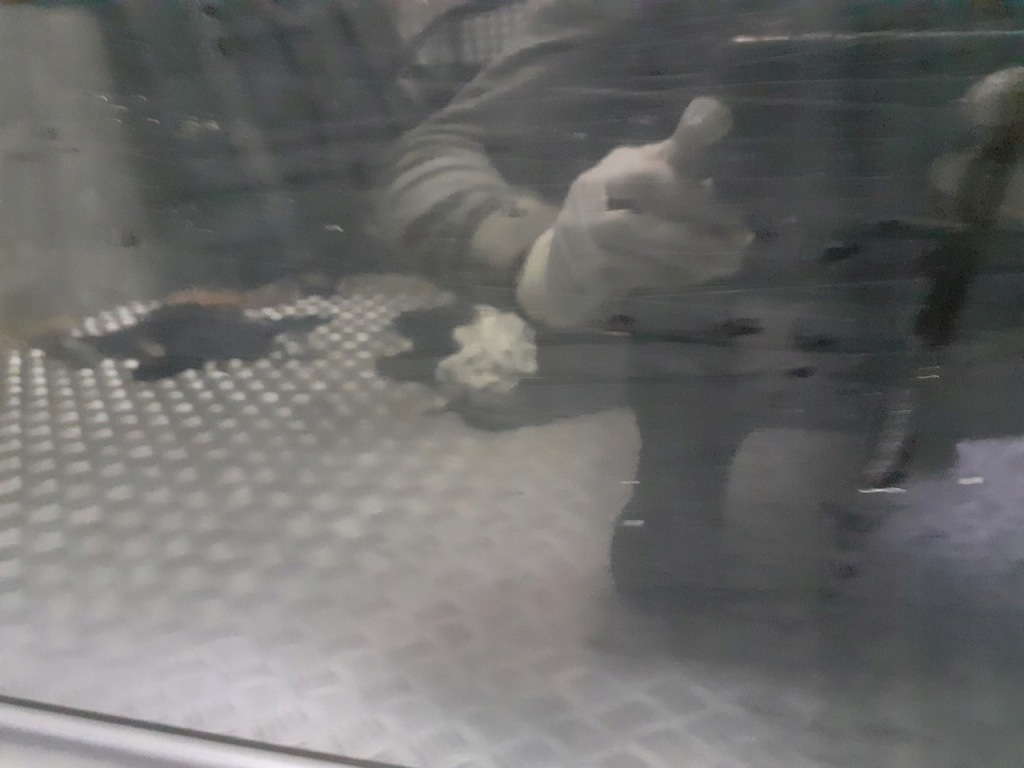 Дверь правый задний  saab 9-3 ii 2qu sedan Киев