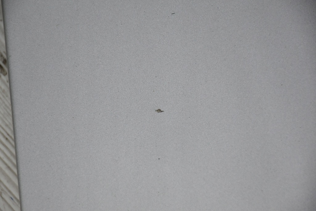 фото №5, Капот крышка двигателя audi a6 c5 ly7q