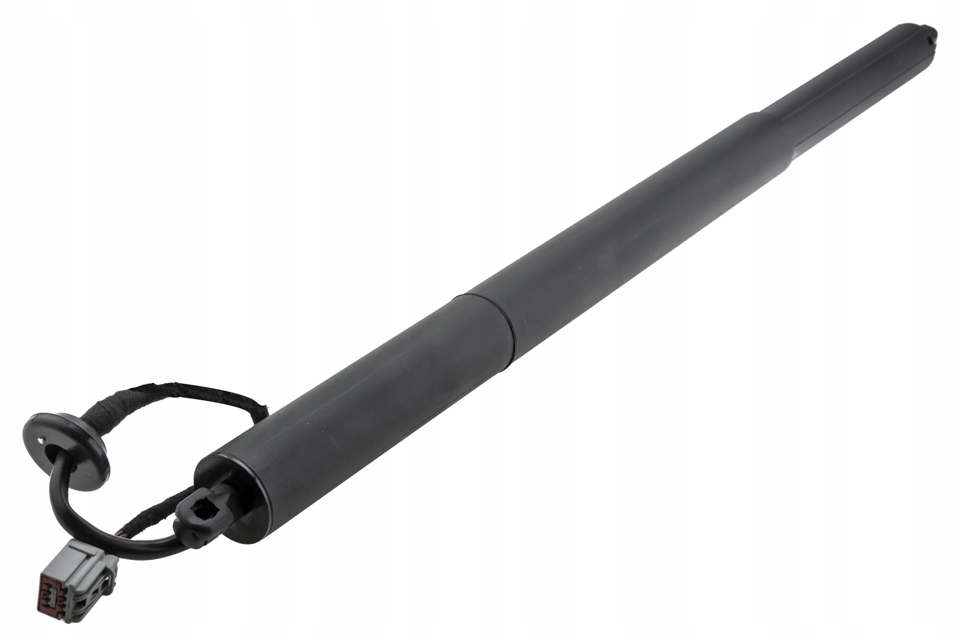 фото №2, Амортизатор задний крышки