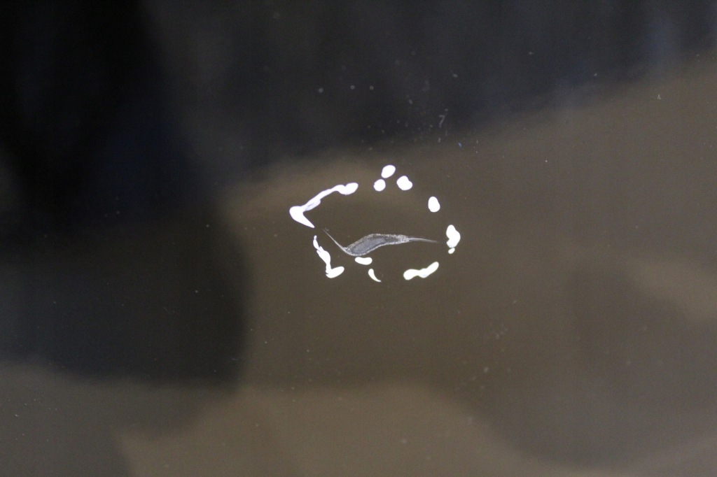 фото №12, Bmw 1 f20 f21 крышка багажника задняя багажника без оснащения bez стекло