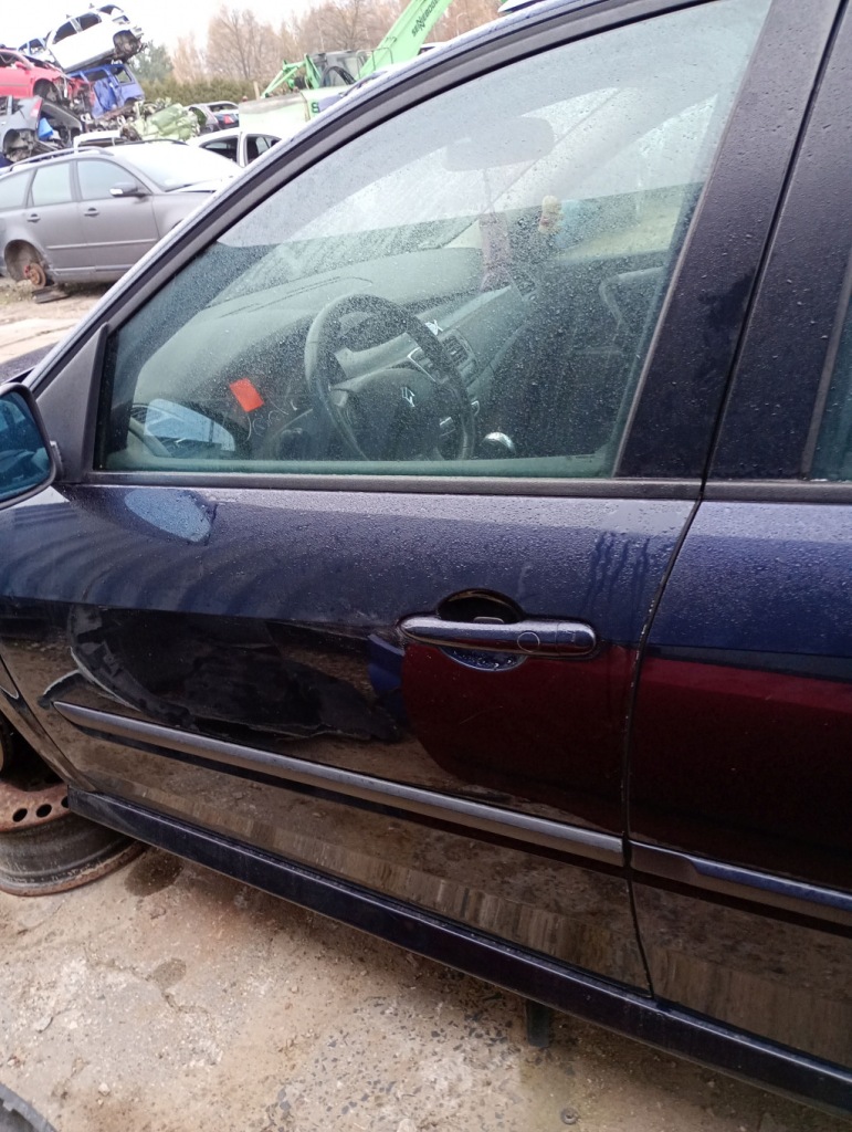 фото №1, Renault laguna iii двері перед передні ліва nv472 w колір