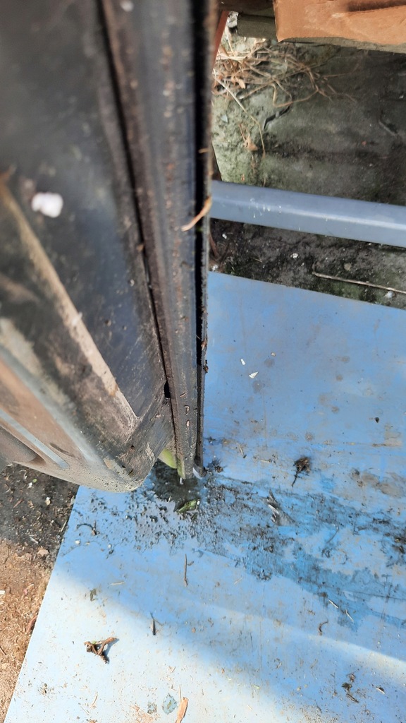 фото №16, Двері перед передні ліва renault scenic ii