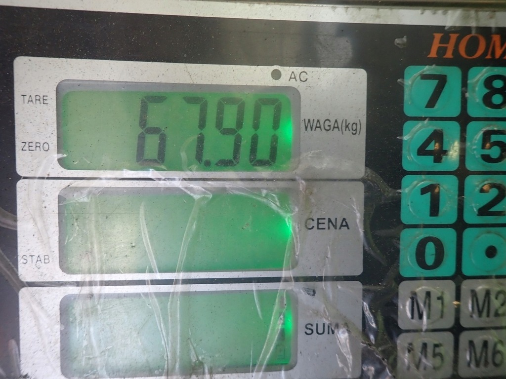 фото №9, Коробка передач передач mazda 5 i 2.0 cidt 08r