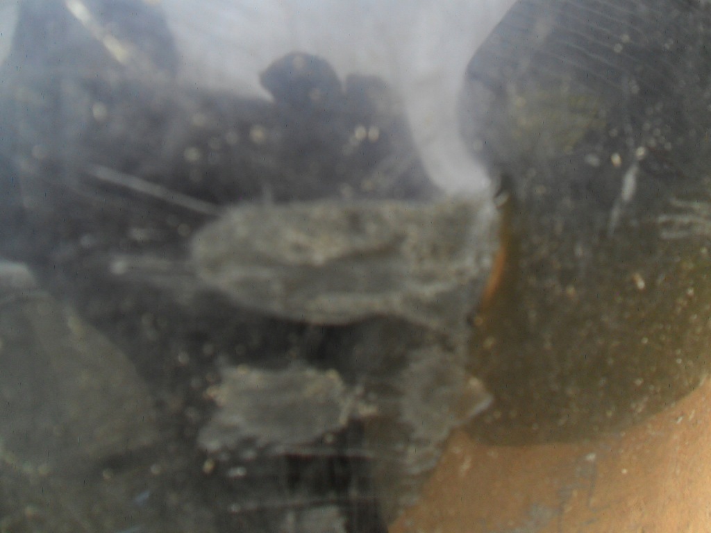 фото №12, Audi a4 b5 sedan бампер задній 8d5807364