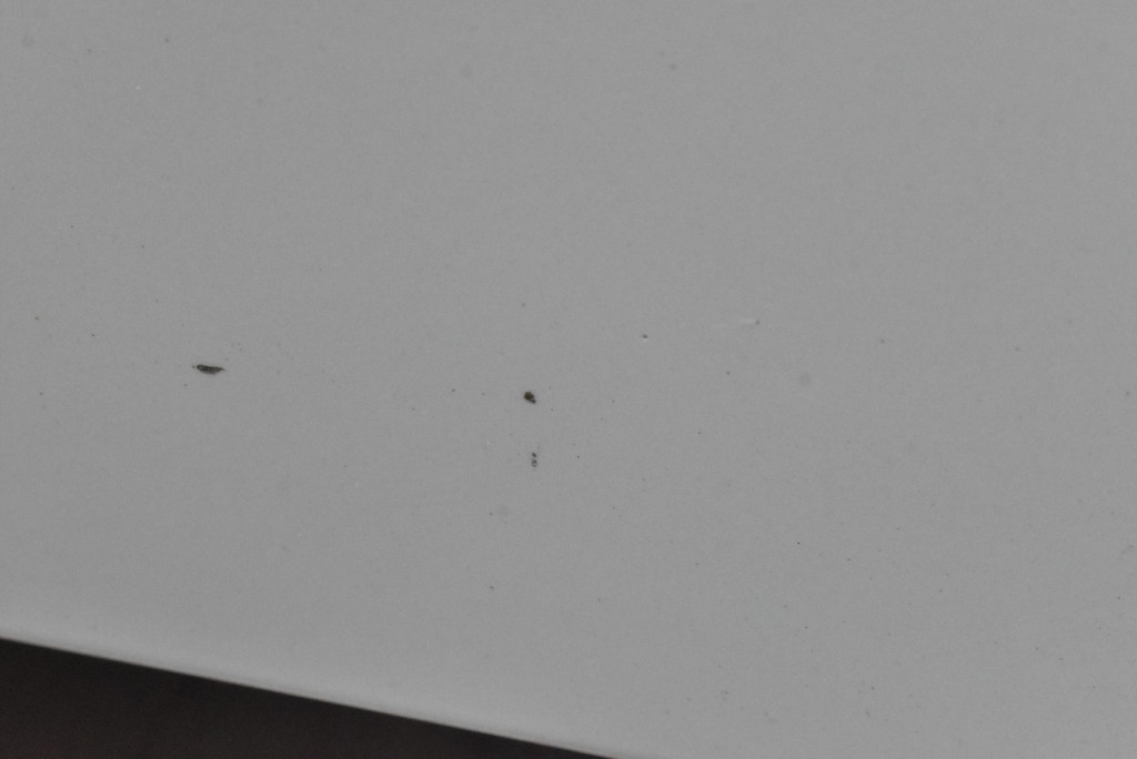 Капот крышка двигателя белый tesla model x 15-21 Недорого