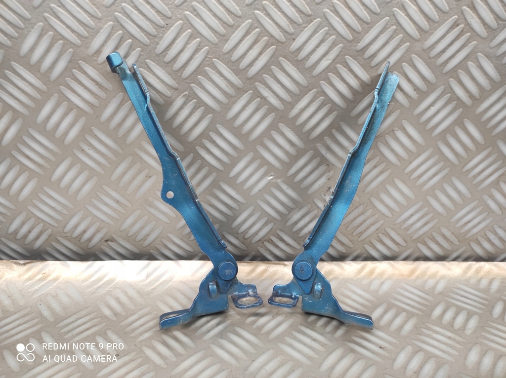 фото №1, Петлі капот комплект петля капот лівий правий citroen c3 ii citroen ds3