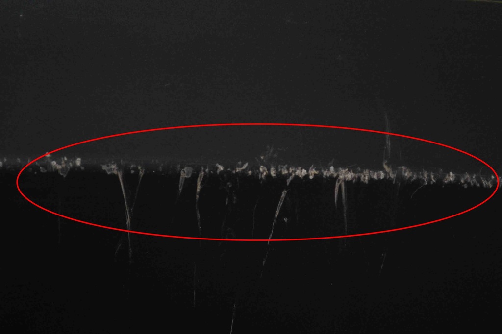 фото №13, Бампер задний audi a5 f53 8w6807521a 22062182 2017