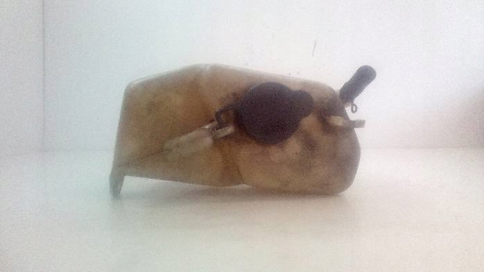 фото №8, Бачок расширительный toyota camry 16470-03060