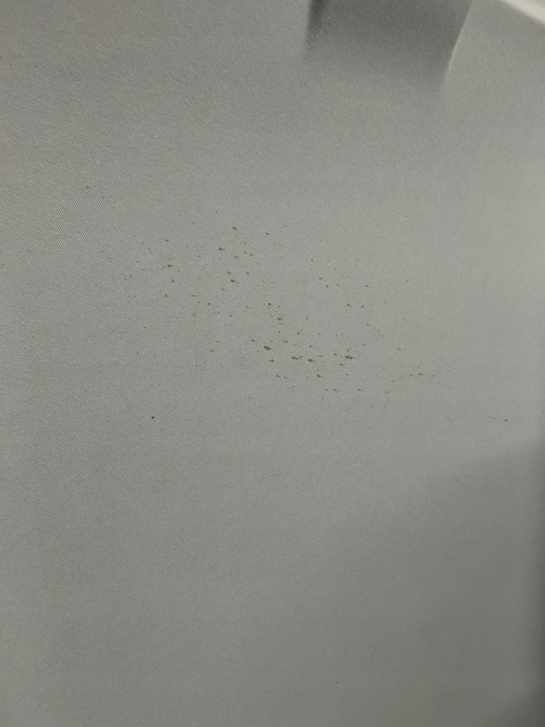 фото №12, Seat ibiza 6f 18-22r стеля 6f0867501g