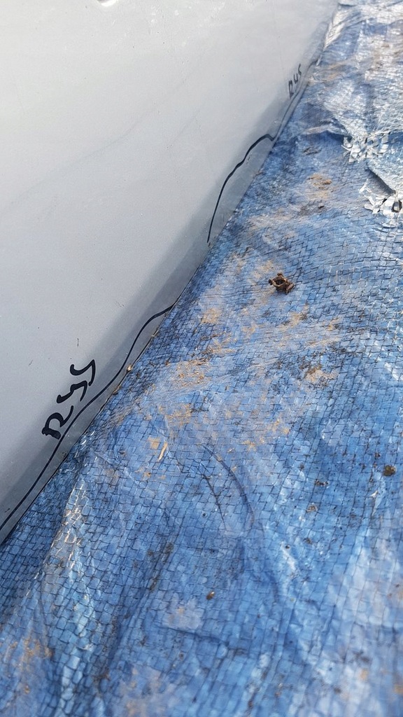 фото №7, Крышка багажника багажника renault laguna iii kombii