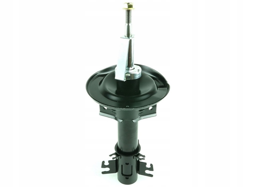 фото №1, Fast ft11317 амортизатор