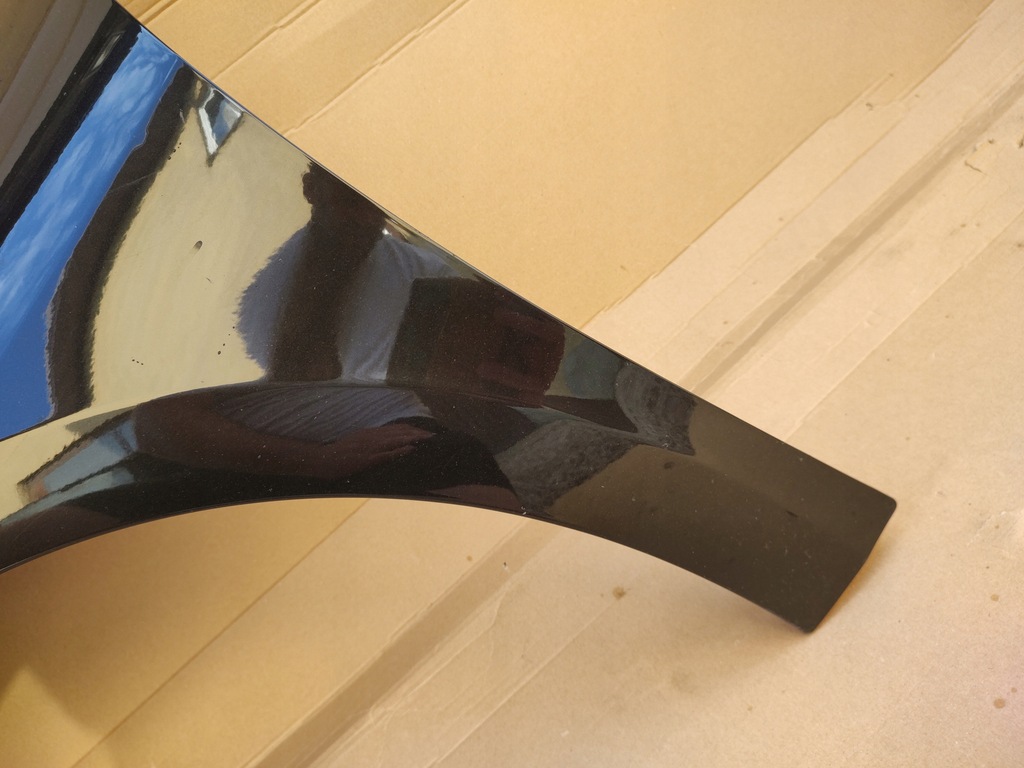 фото №8, Крыло передний перед левый renault laguna iii teb66 europa