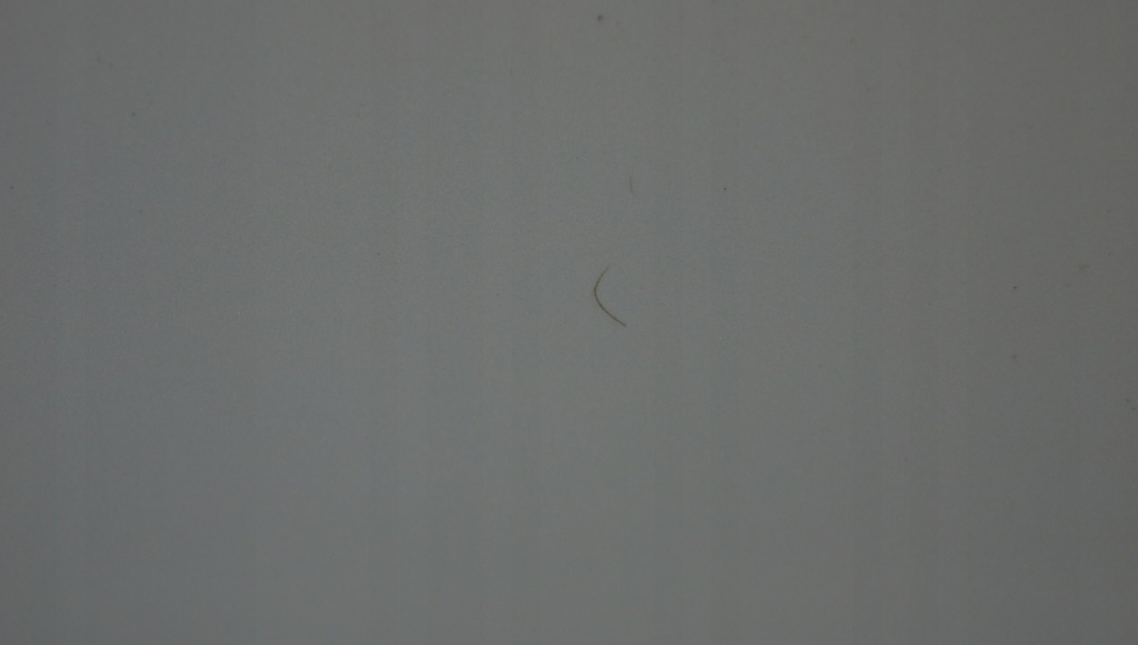 фото №12, Двері правий перед suzuki swift mk6 znl 3d