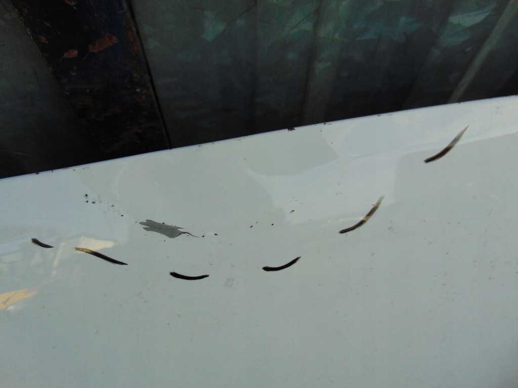 фото №8, Капот крышка двигателя kia picanto iii