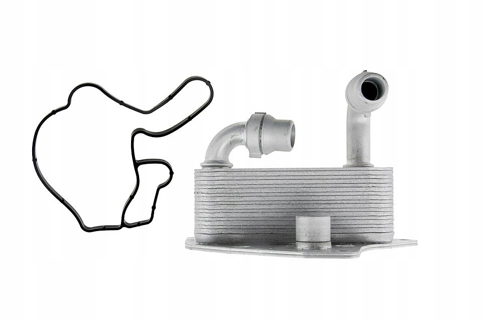 Радіатор оливи fiat bravo 2.0jtd 2008- Зі Шроту