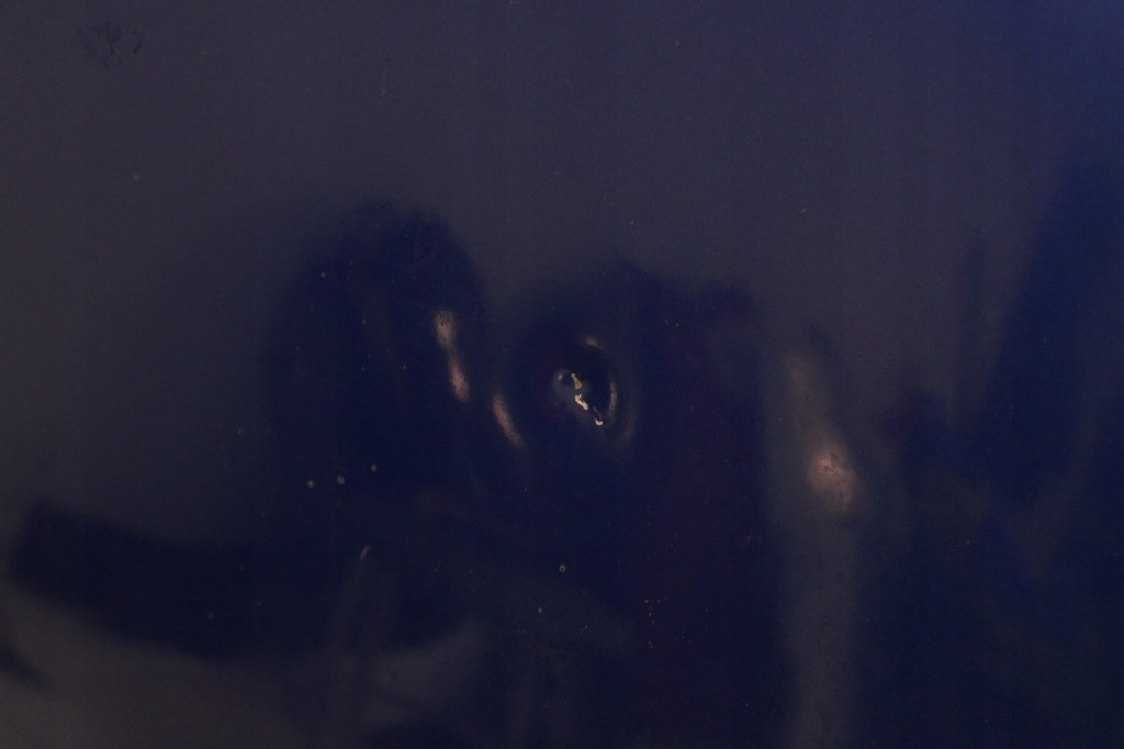 фото №6, Volvo v50 s40 ii 2004r- капот кришка двигуна 476 - код лакофарбового покриття