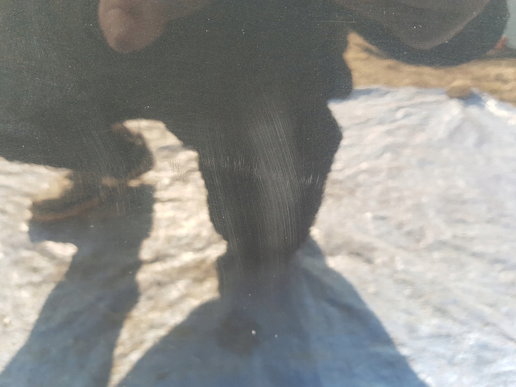 фото №15, Двері правий перед праве передні audi a8 d4 lx7u