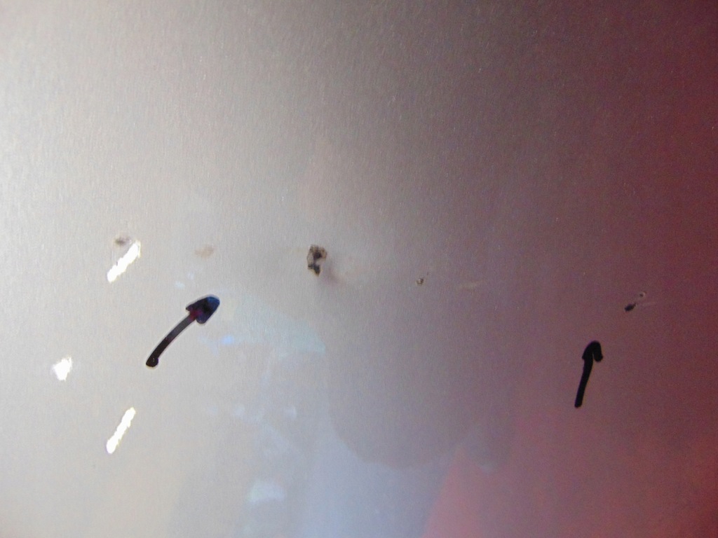 фото №8, Mini countryman r60 двері праве перед передні b12