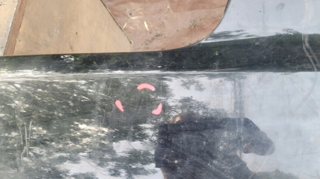 Купить Audi a4 b7 8h0 cabrio бампер задний задняя pdc / 1860