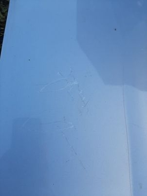 фото №7, Капот кришка двигуна fiat panda i