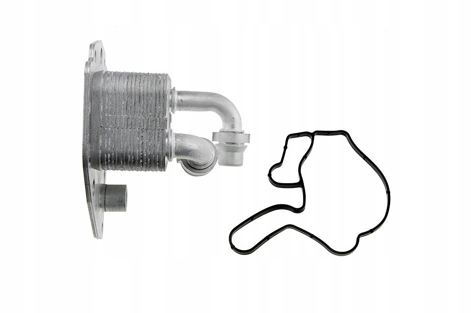 Радіатор оливи fiat bravo 2.0jtd 2008- Київ