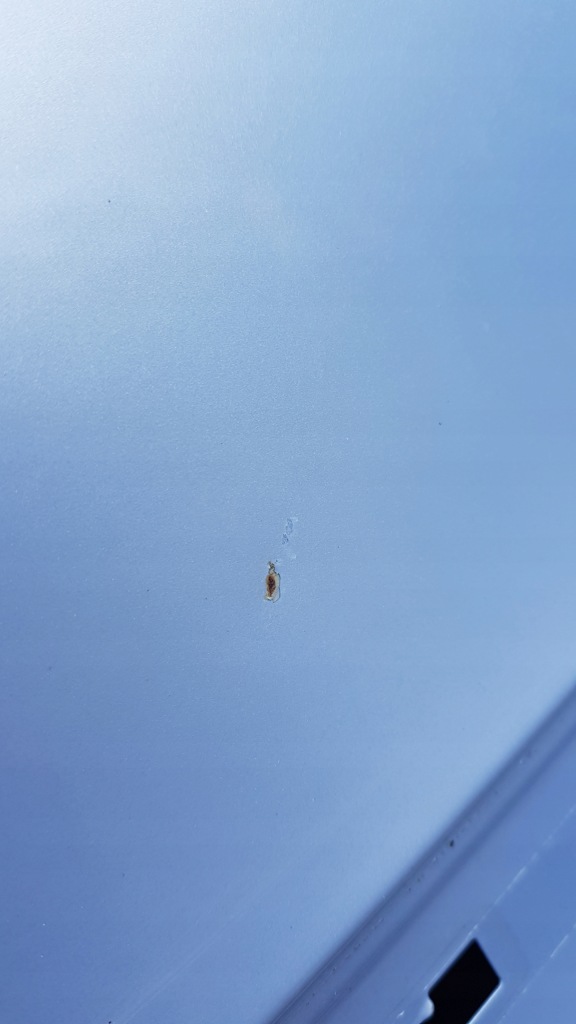 фото №13, Mercedes w220 347 двері лівий задня повний