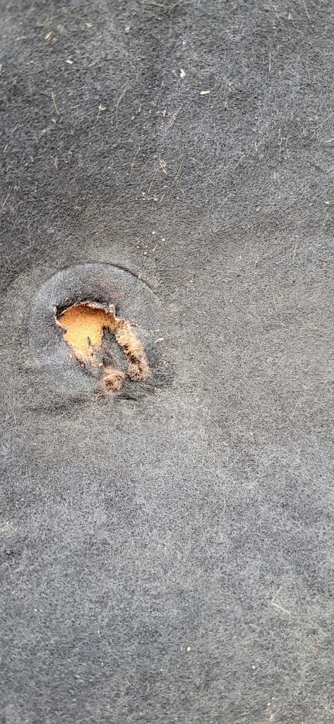 фото №5, Jeep cherokee kk 07-12 шумоизоляция шумоизоляция капот