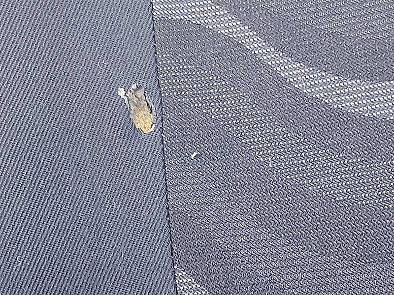 фото №9, Набір сидіння водія пасажира заднє сидіння mini r50 cooper one aqua panther