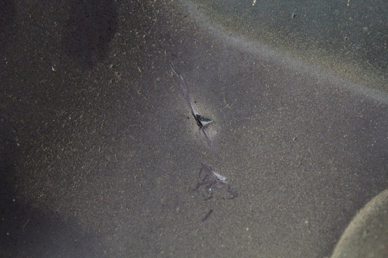 фото №15, Audi оригінальний номер 06a103925j кришка захист верхній двигуна