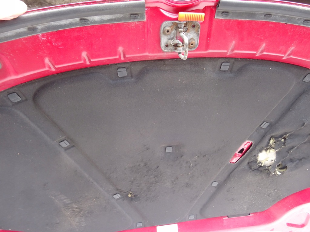 фото №16, Капот кришка двигуна vw jetta vi 6 5c6 10-14 ly3d