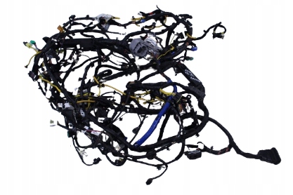 фото №1, Електропроводка салону kia soul ii ev eco electric 15r.