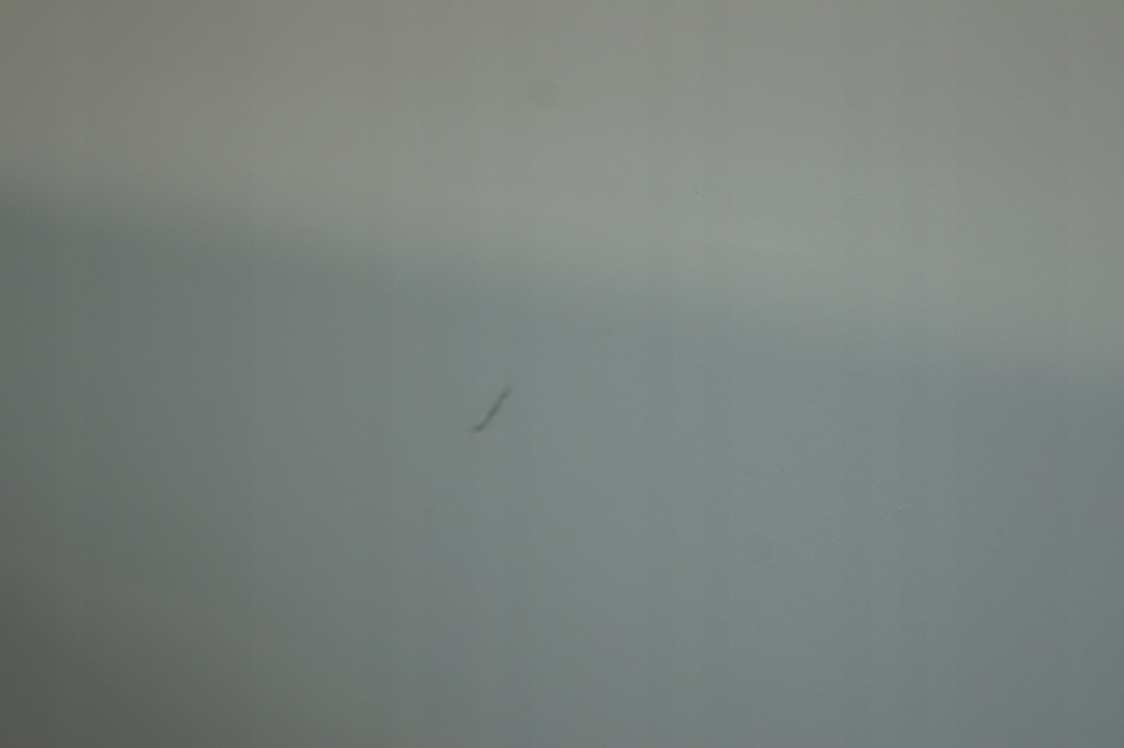 фото №9, Двері правий задня opel astra j hb z40r