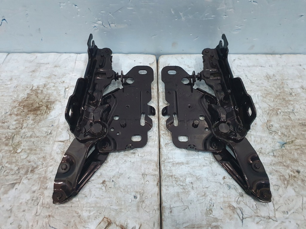 фото №1, Петля петлі капот bmw x3 g01 x4 g02 правий лівий