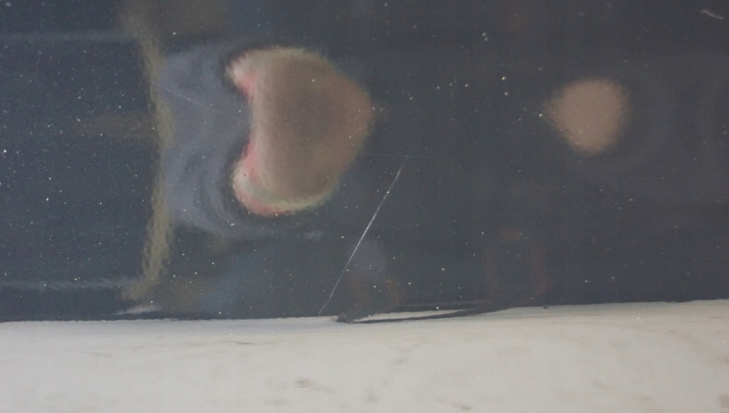 фото №8, Двері лівий задня ford kuga mk1