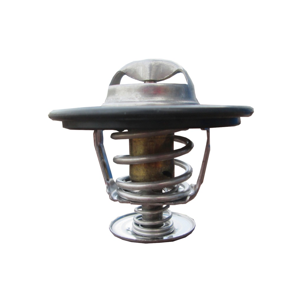 фото №2, Термостат wrc 5000038