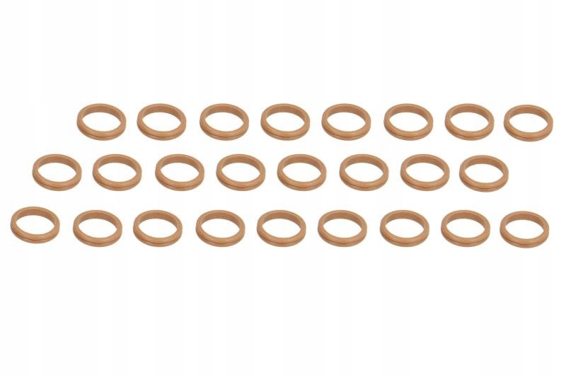 Купити Ущільнювальне кільце подвійний 25szt santech mt1108