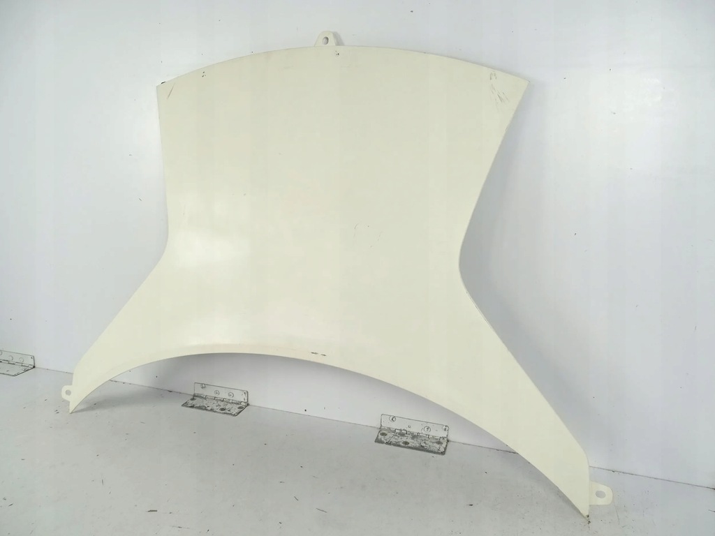 фото №3, Капот lotus evija