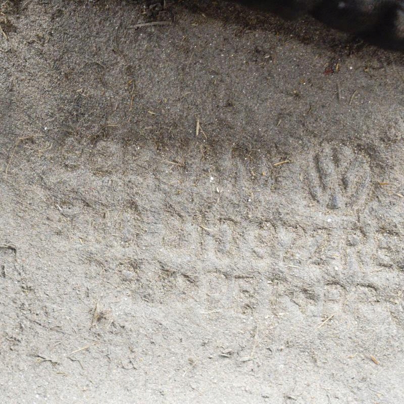 фото №8, Volkswagen tiguan 5n задний правый внутренний крыло 5n0810972 2015 2.0 tdi