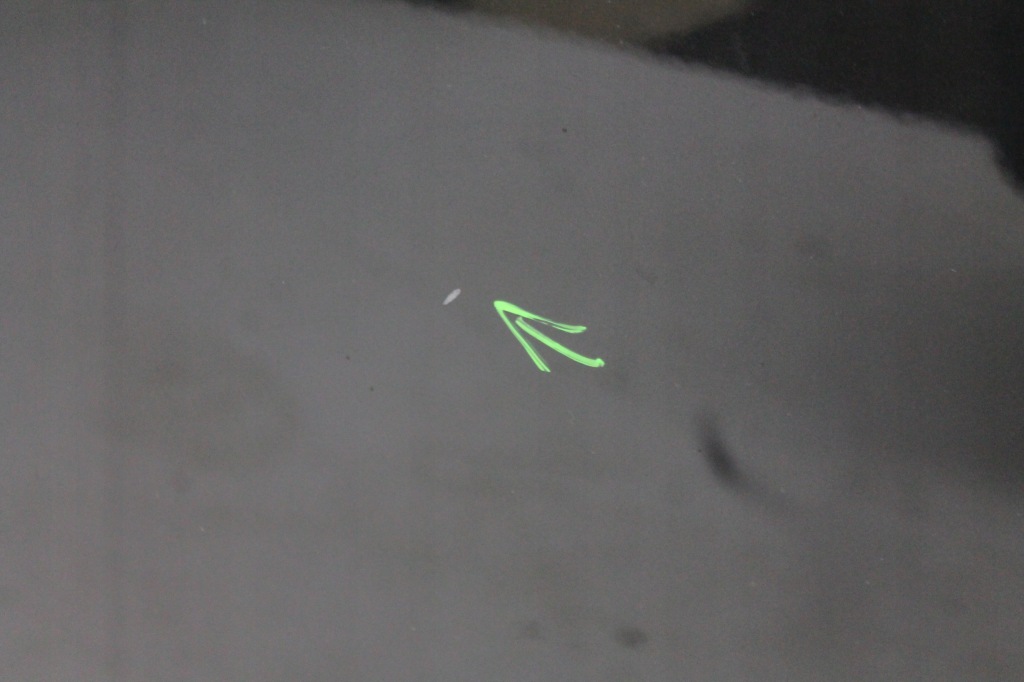 фото №5, Двері лівий перед citroen ds3 exl 10-16