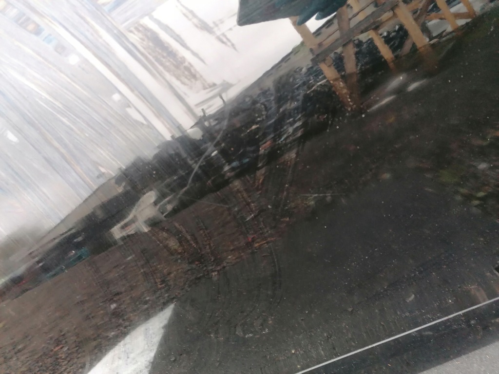 фото №4, 67 renault scenic iii двері передні праве