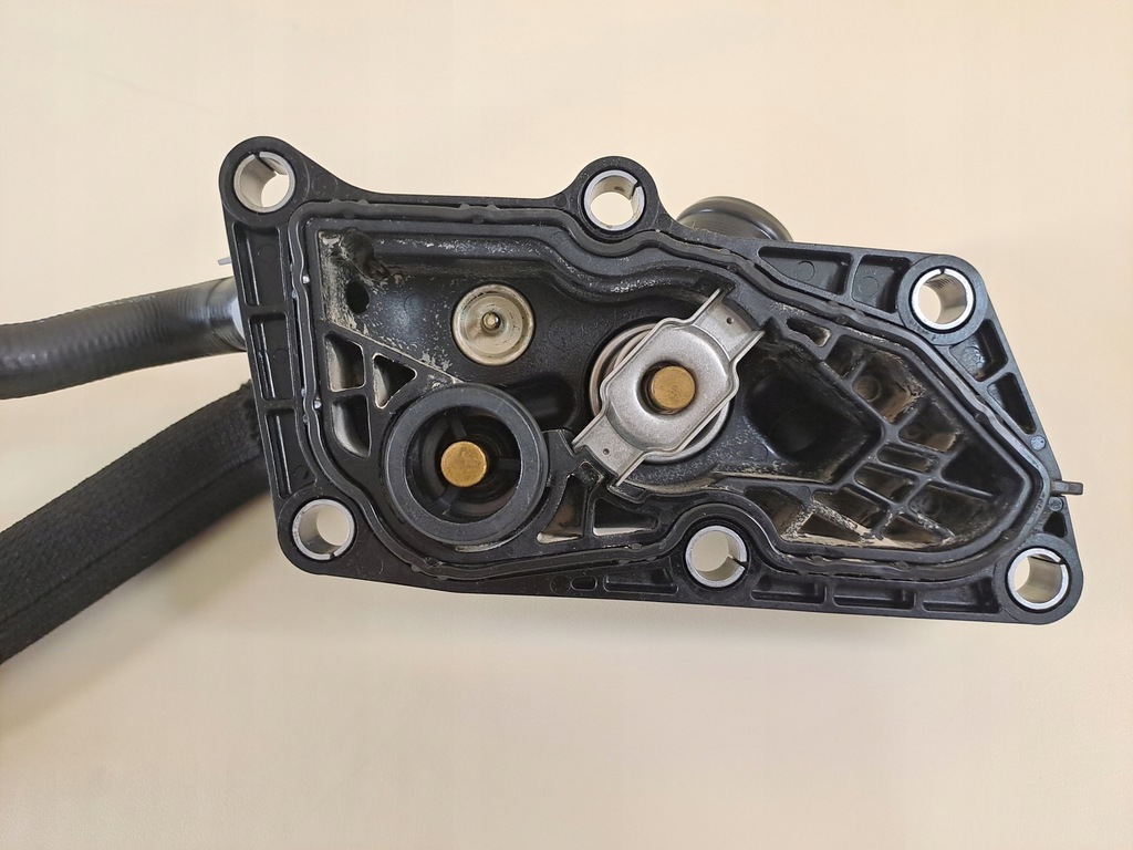 фото №11, Sandero iii stepway 21r термостат корпус датчик