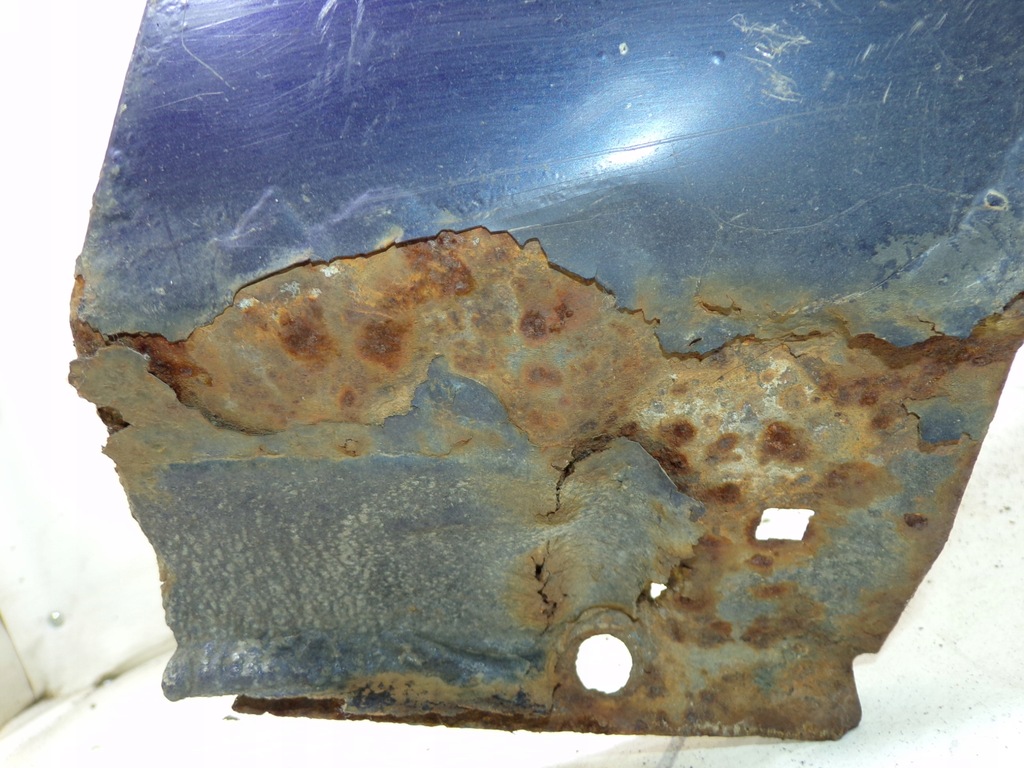 фото №9, Крила правий передній ford focus 1