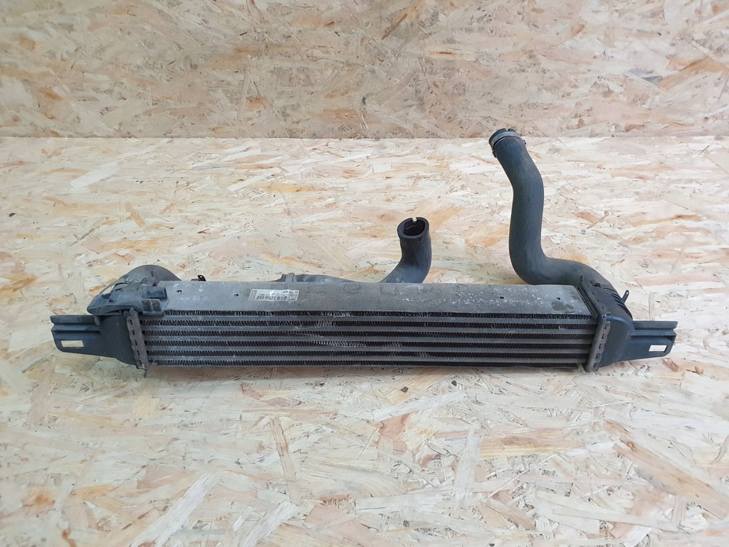 фото №9, Qubo fiorino інтеркулер 51790623