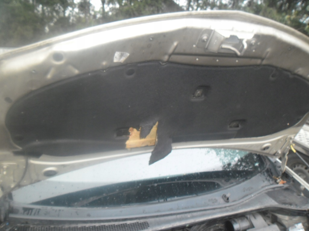 фото №2, Капот renault clio 3 05-09