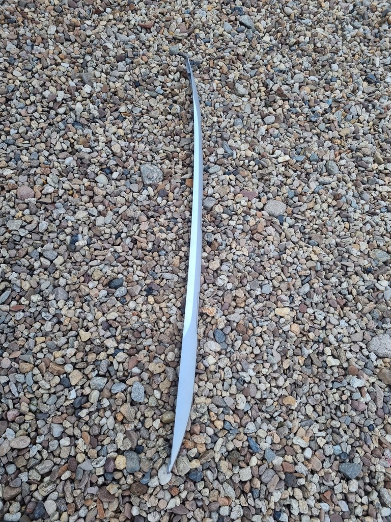 фото №1, Ford ecosport 17r молдинг рейлинг защита левая