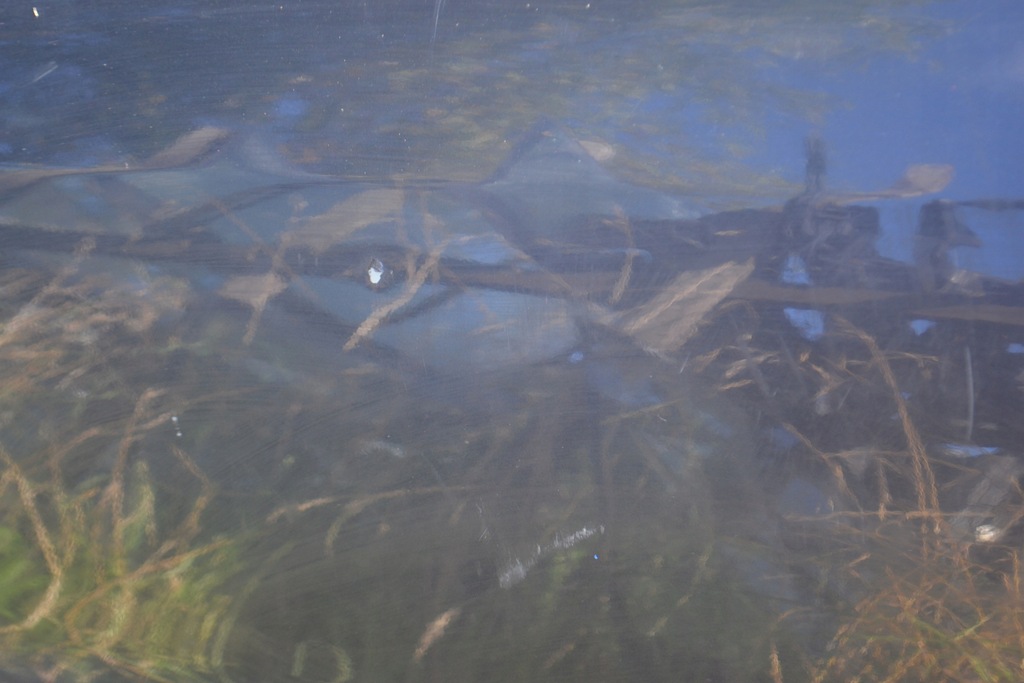 фото №5, Двері передні ліва перед лівий mercedes-benz w168