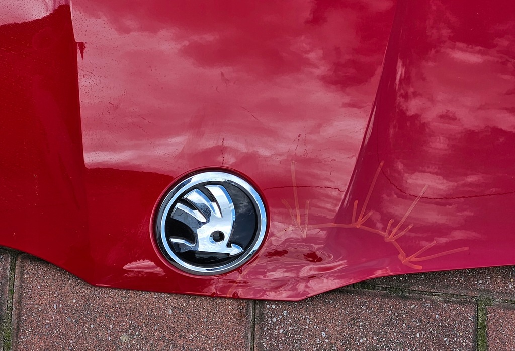 фото №5, Skoda scala капот